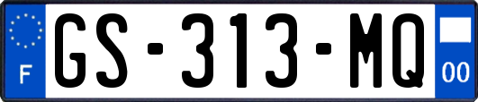 GS-313-MQ
