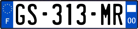 GS-313-MR