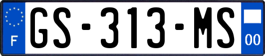 GS-313-MS