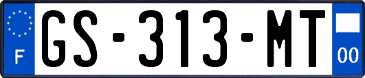 GS-313-MT