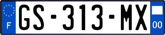 GS-313-MX