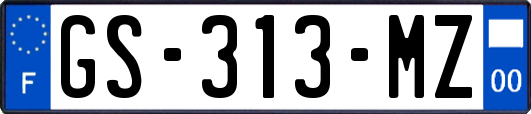 GS-313-MZ