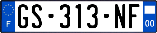 GS-313-NF