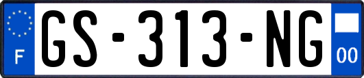 GS-313-NG