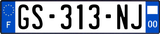 GS-313-NJ