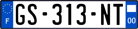 GS-313-NT