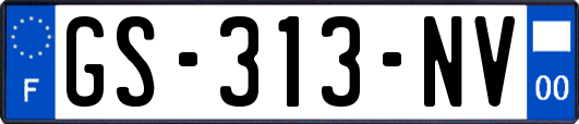 GS-313-NV