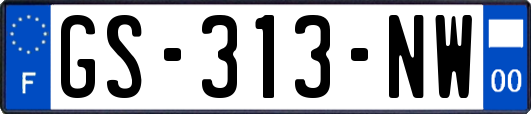 GS-313-NW