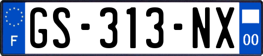 GS-313-NX