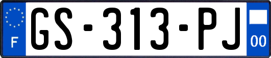 GS-313-PJ