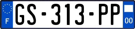 GS-313-PP