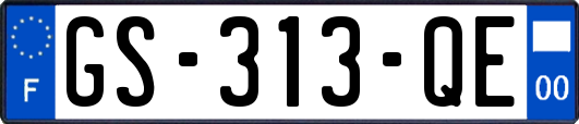 GS-313-QE