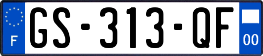 GS-313-QF