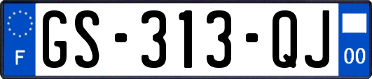 GS-313-QJ
