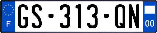 GS-313-QN