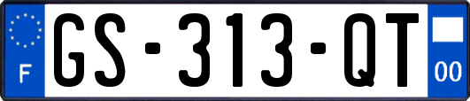 GS-313-QT
