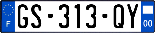 GS-313-QY
