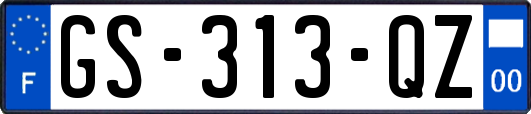 GS-313-QZ
