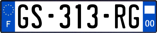 GS-313-RG