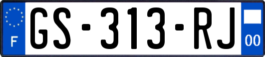 GS-313-RJ