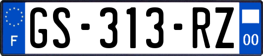 GS-313-RZ