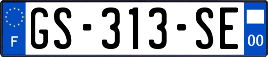 GS-313-SE