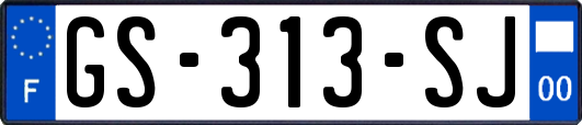 GS-313-SJ