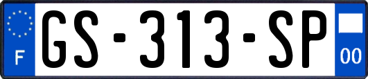 GS-313-SP