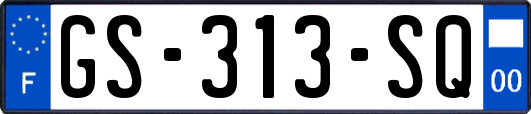 GS-313-SQ