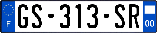 GS-313-SR