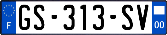 GS-313-SV