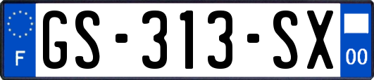 GS-313-SX