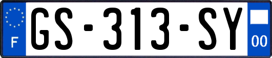 GS-313-SY