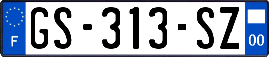 GS-313-SZ