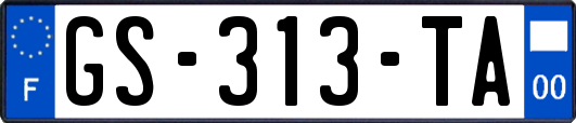GS-313-TA