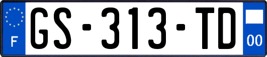 GS-313-TD