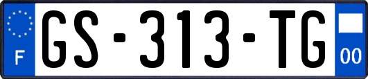 GS-313-TG