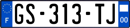 GS-313-TJ