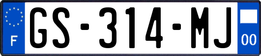 GS-314-MJ