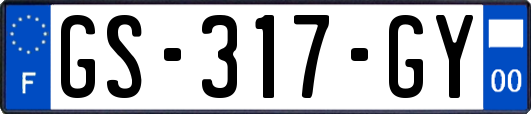 GS-317-GY
