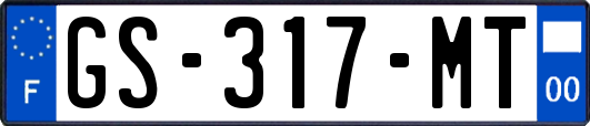 GS-317-MT