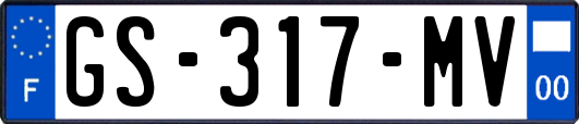GS-317-MV