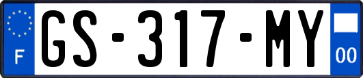 GS-317-MY