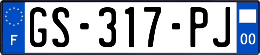 GS-317-PJ