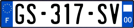 GS-317-SV