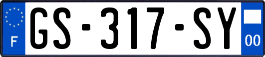 GS-317-SY