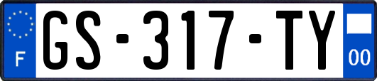 GS-317-TY