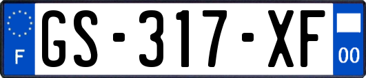 GS-317-XF