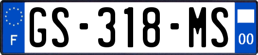 GS-318-MS