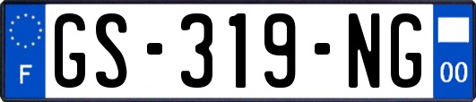 GS-319-NG